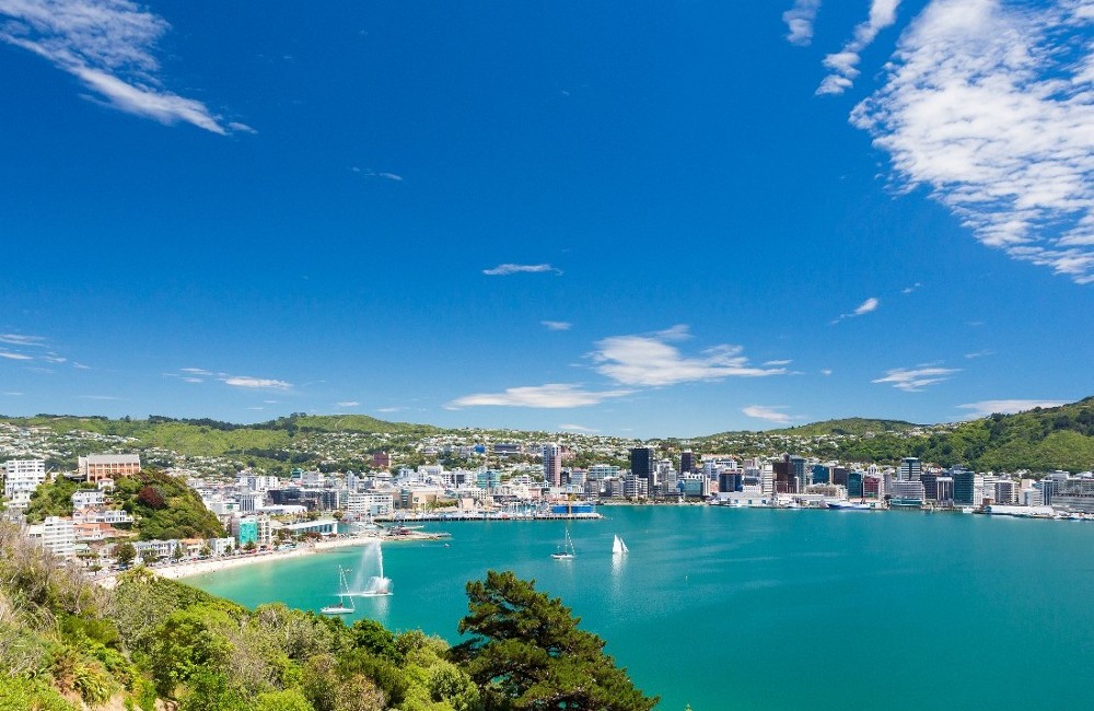 New Zealand Working Holiday Visa: Basic Plus Package