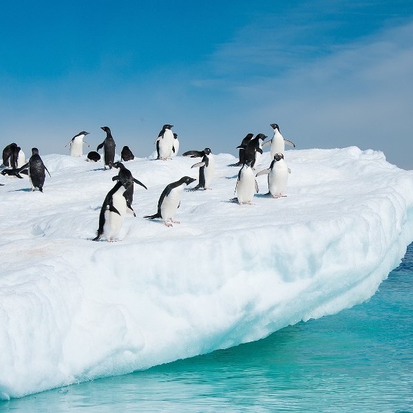 Review: Antarctica, Arctic & Next Stop... Galapagos Islands