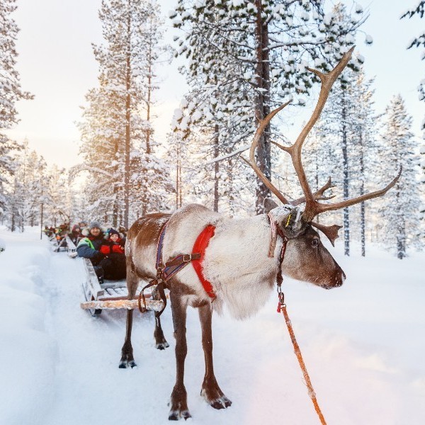 Our Top Tips For Visiting Lapland