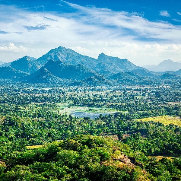 Jane's Guided Tour Of Sri Lanka