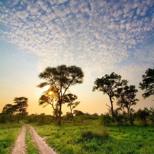 River-running Zambia