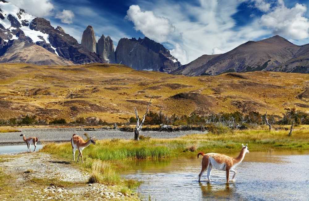  Best of Argentina & Chile 