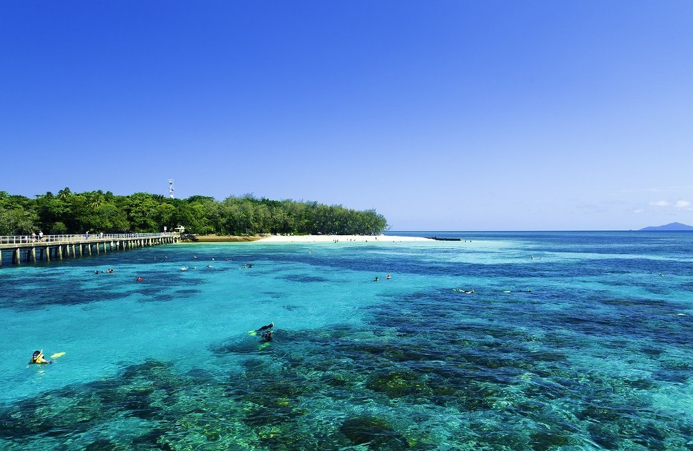 Great Barrier Reef Cruise