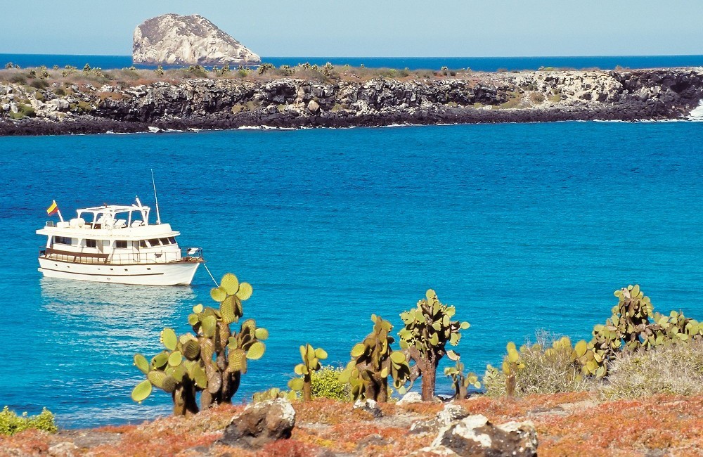  Galapagos Island Stay- Isabela Island 