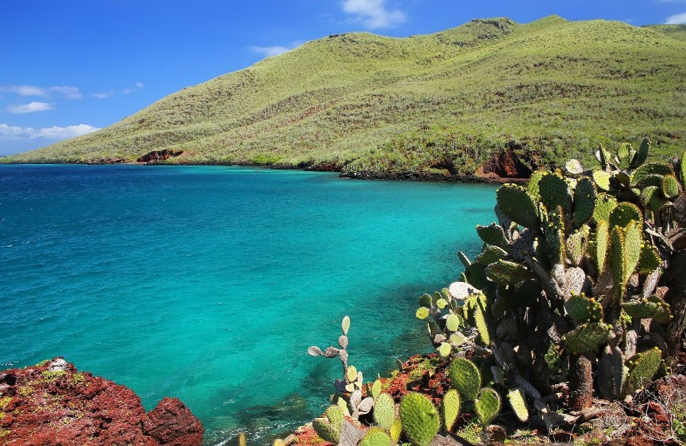  Galapagos Island Hopping- Santa Cruz and Santa Cristobal 