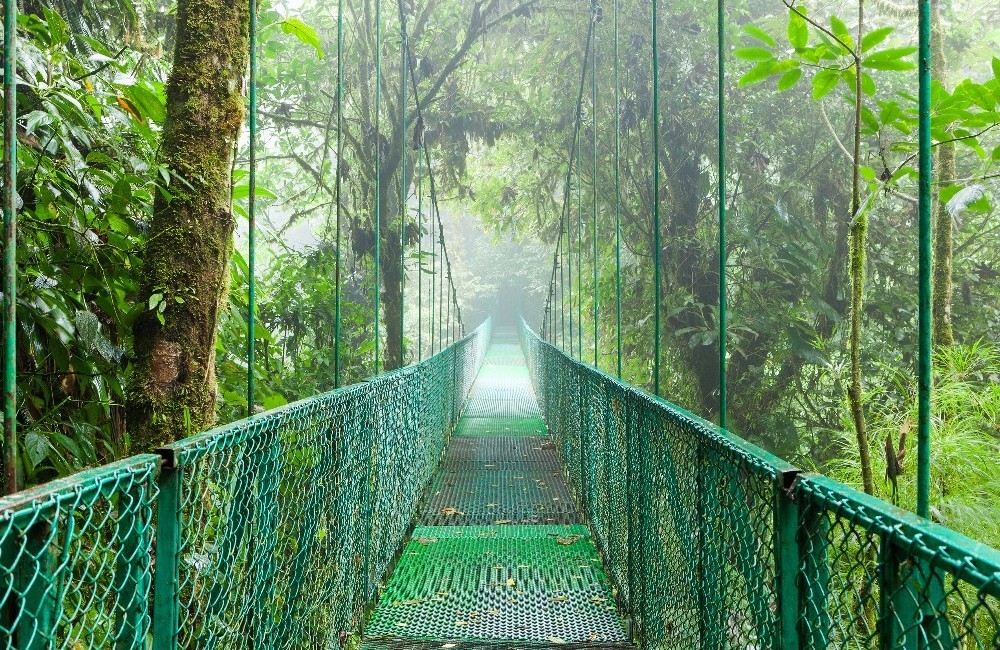  Costa Rica: Coastlines & Cloud Forests for 18-30s 