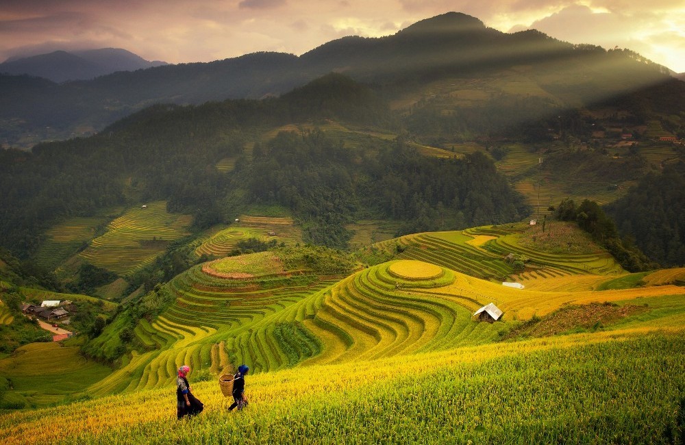 Cycle Vietnam