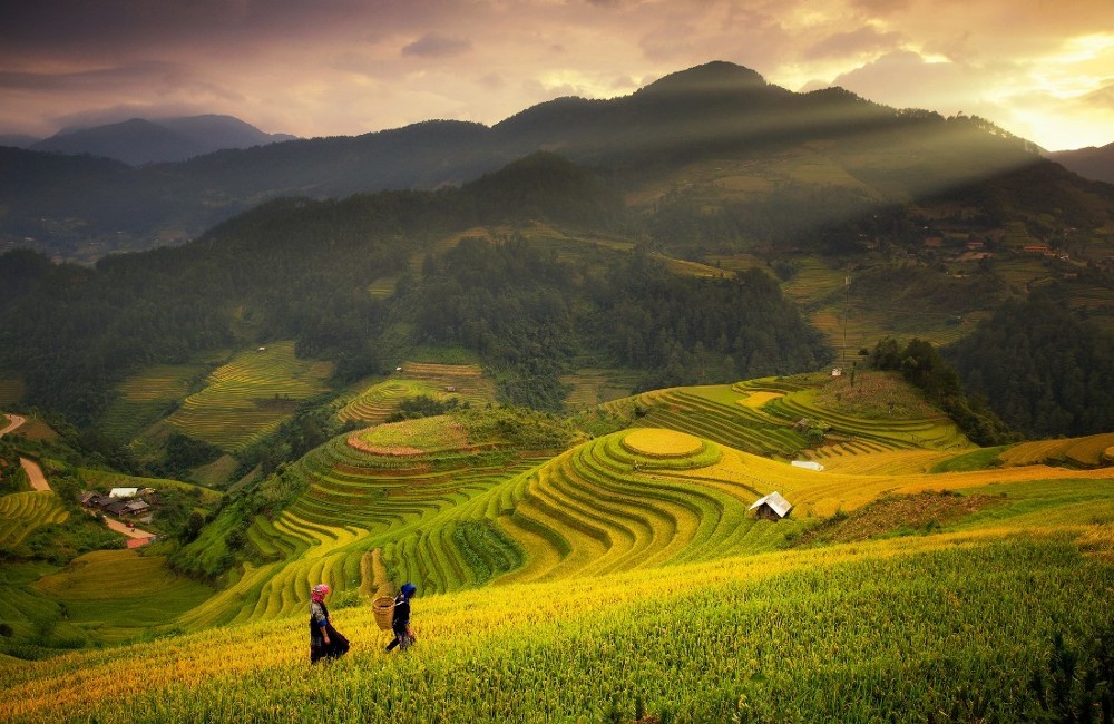  Scenic Vietnam By Rail 