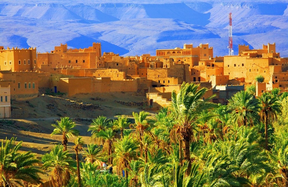  Marrakech Flavours, Yoga & Desert Adventure Tour 