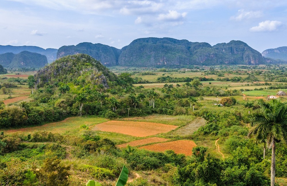  Cuban Rhythms: Beachfronts & Havana Vibes for 18-30s 