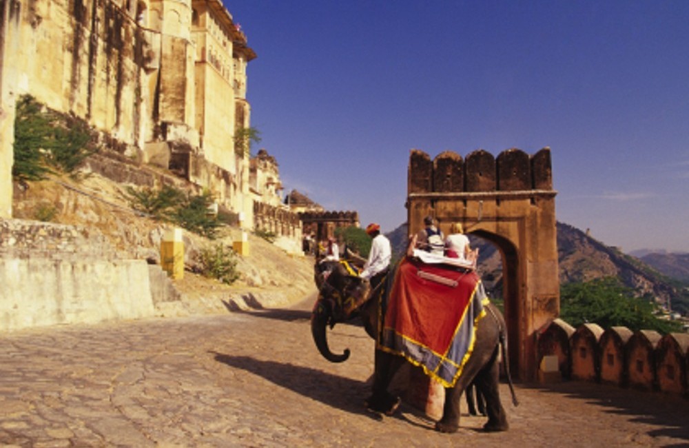  India: Real Food Adventure 