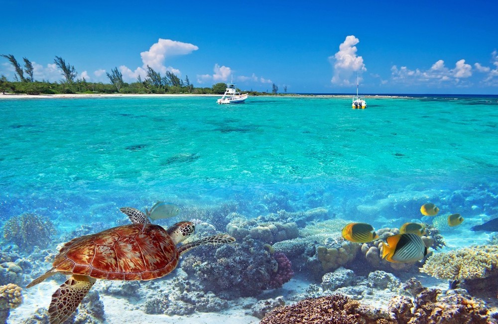 Caribbean Cruises Cruise Centre Shandon Travel