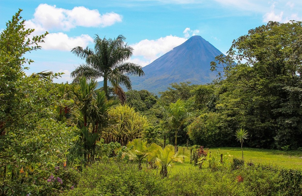  Premium Costa Rica 