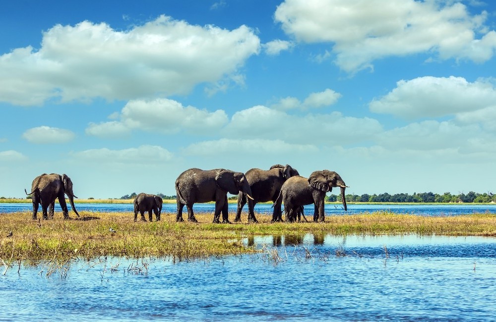  Southern Africa: Bush Camps & Wildlife Spotting for 18-30s 