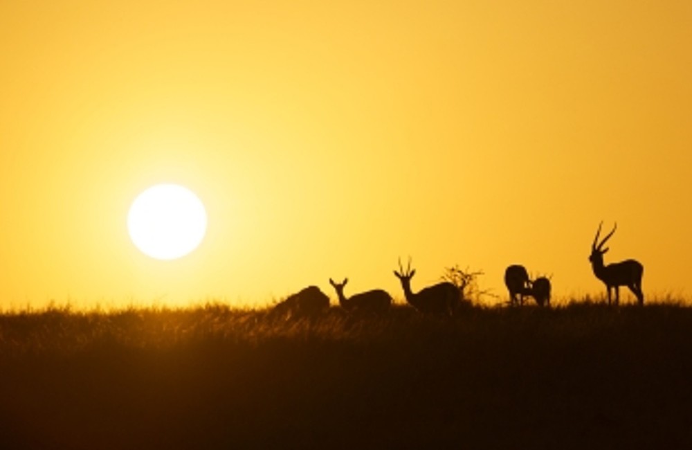  Southern Africa: Bush Camps & Wildlife Spotting for 18-30s 