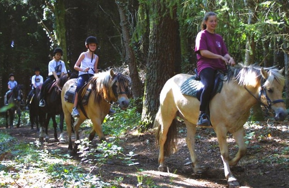  France- Camping Ty Nadan 