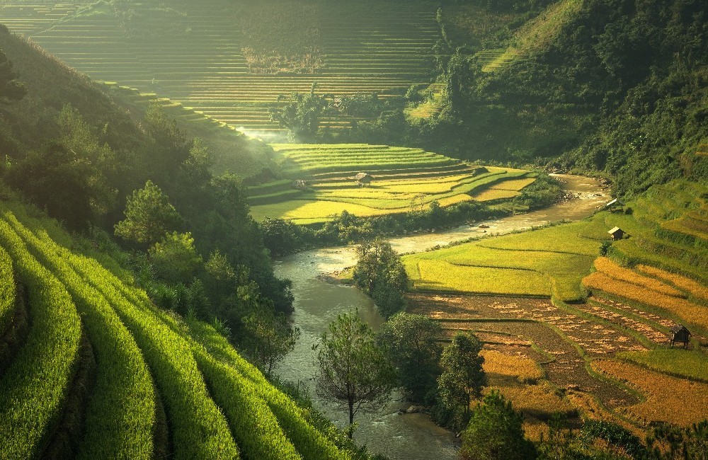  Vietnam Family Holiday 