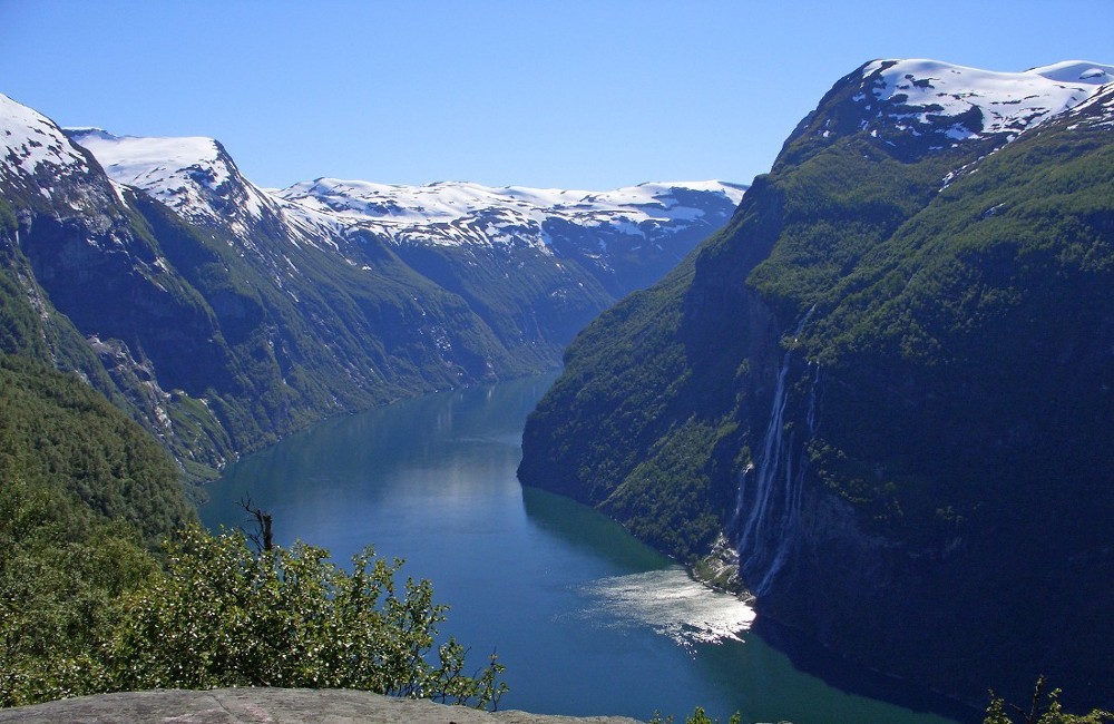 Springtime Fjordland Cruise from Belfast