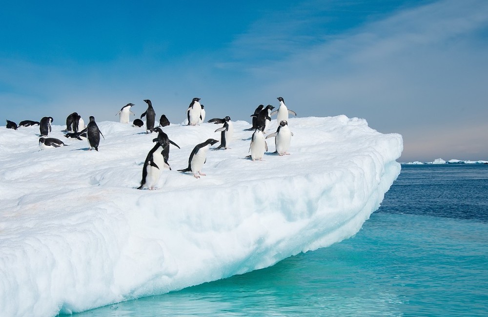Antarctic Explorer Tour