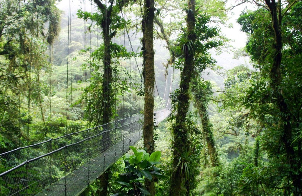  Costa Rica Family Tour 