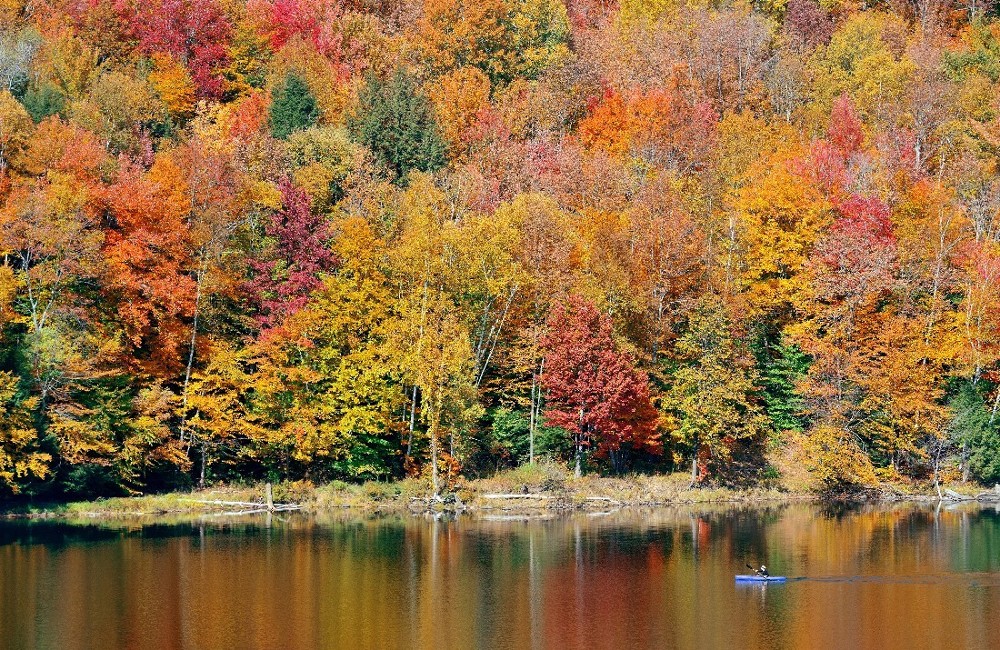  Canada & New England Cruise on Independence Of The Seas 