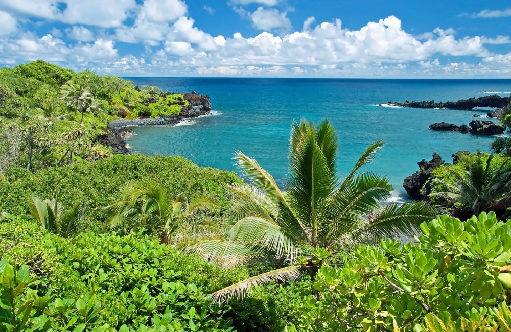  8 Night Hawaii Cruise onboard Celebrity Edge 