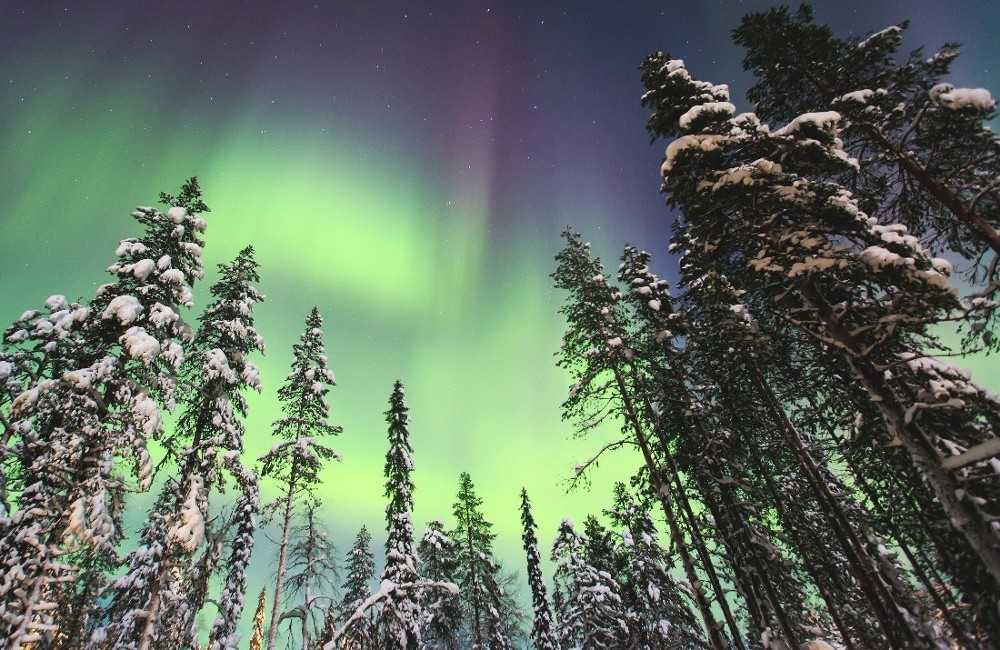  Iceland: Next Door to Nature Package 