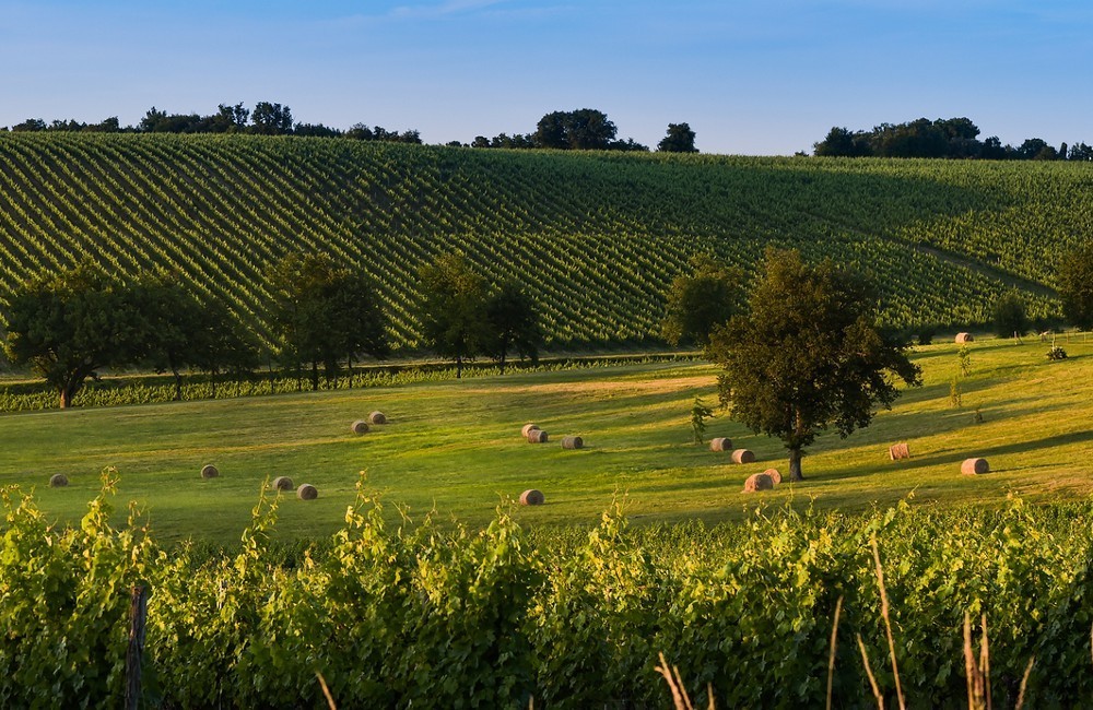 Taste of Bordeaux Luxury River Cruise