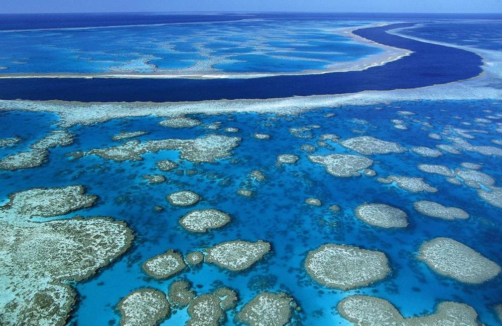  8 Night Queensland Cruise from Sydney on Anthem of the Seas 