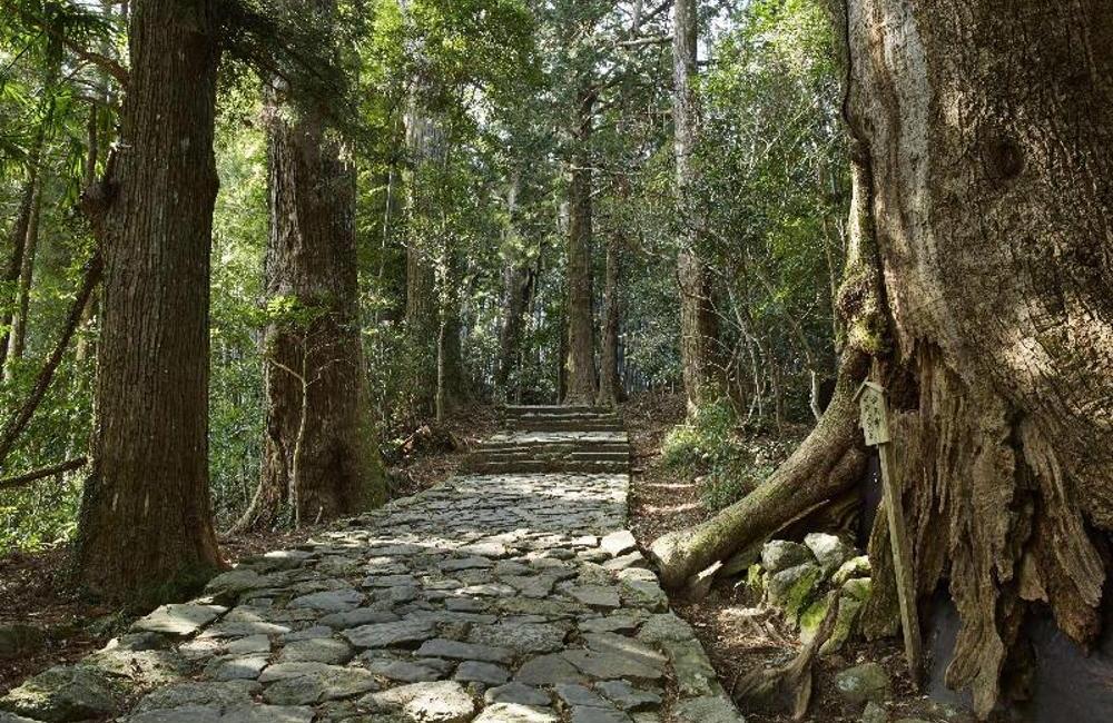  Japan- 5* Amanemu Onsen Spa 