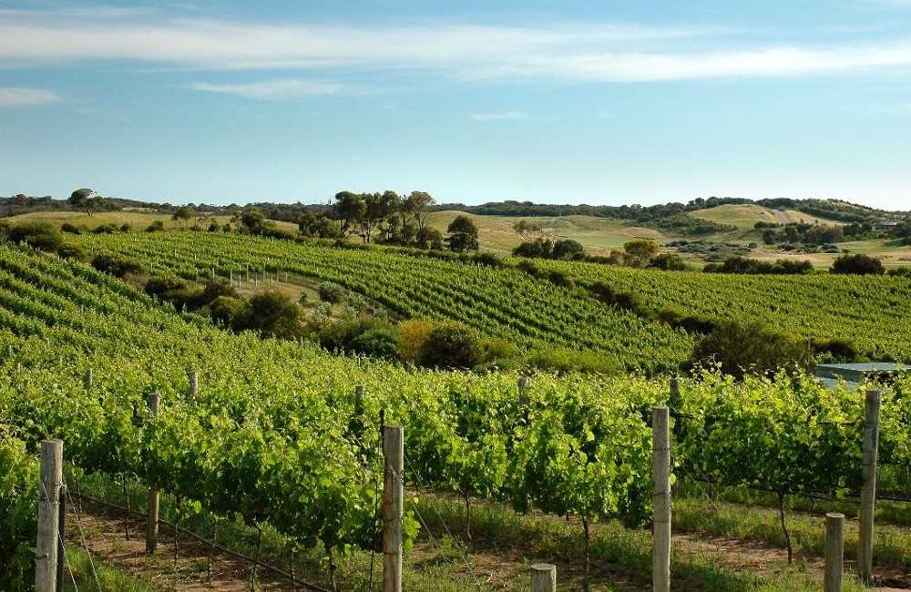  Mornington Peninsula Hot Springs Tour 