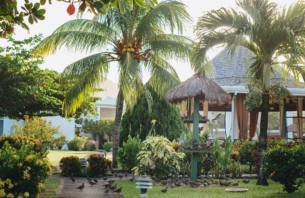  Grenada- 4+* Coyaba Beach Resort 