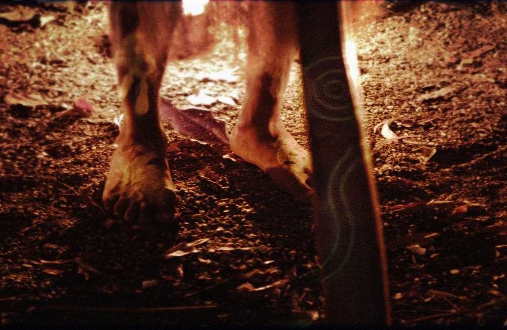  Flames of the Forest Aboriginal Cultural Experience 