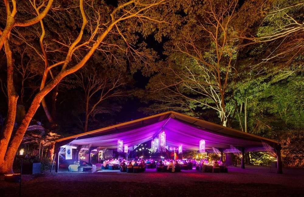  Flames of the Forest Dining Experience 