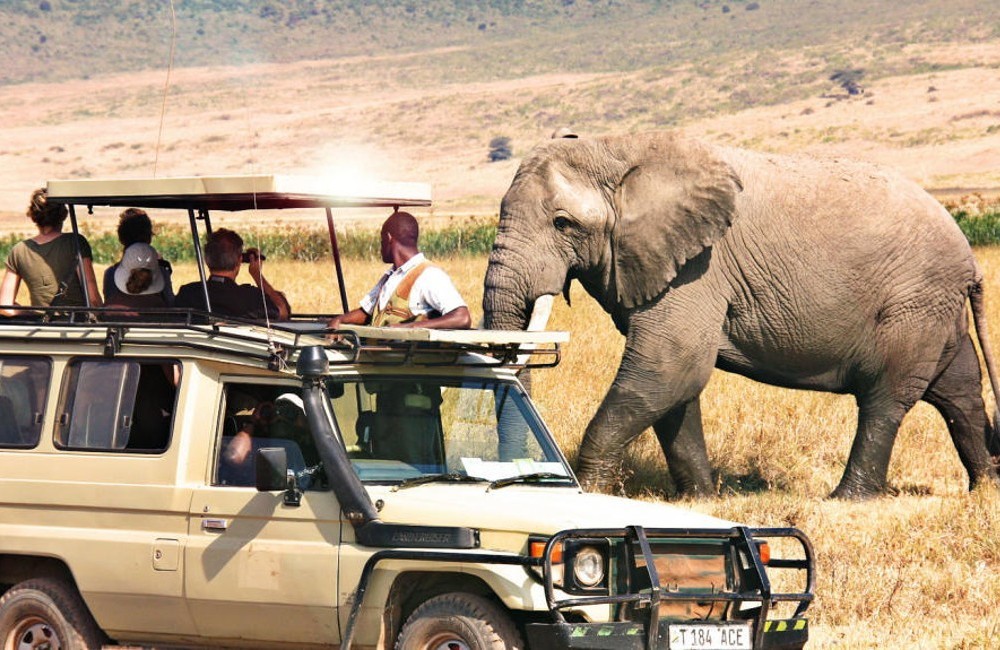  Kenya Classic Safari 