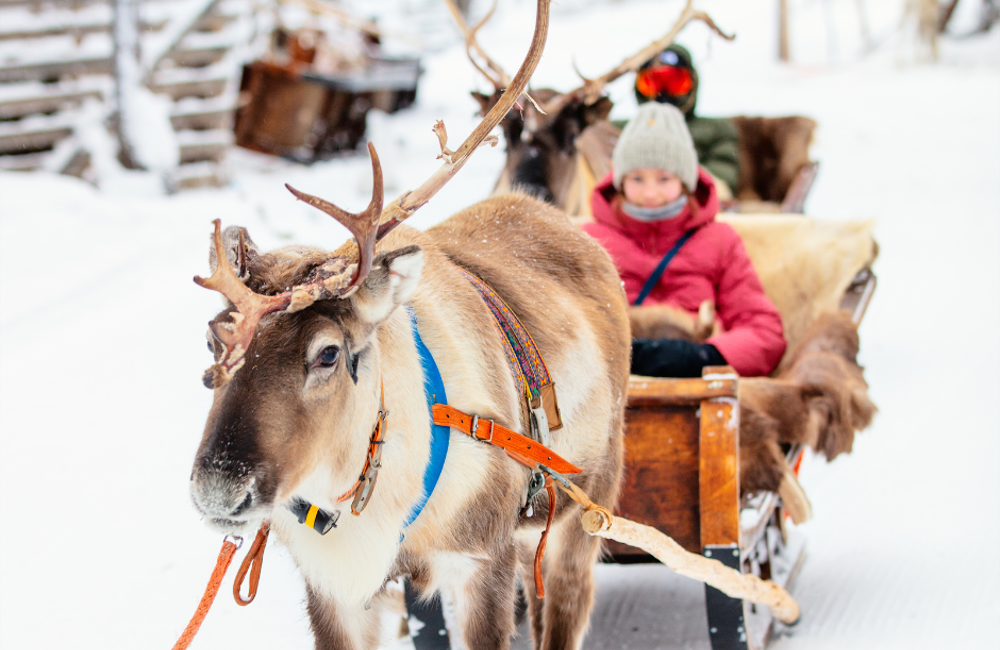 Lapland Family Holiday Packages Shandon Travel