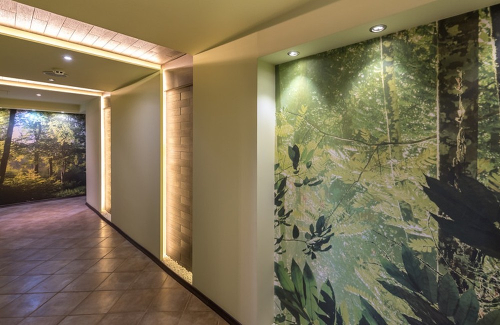  Bulgaria- Borovets [4* Lion Hotel] 