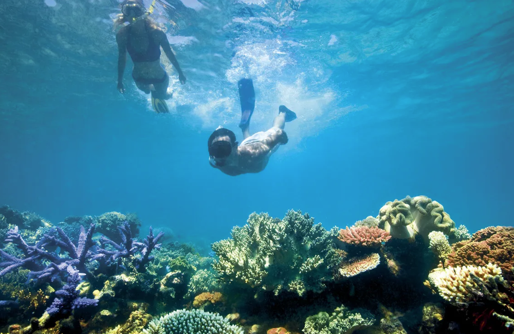  Great Barrier Reef, Australia- 5* Lizard Island 