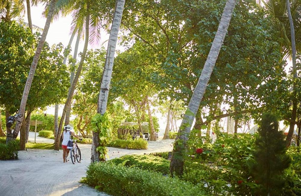  Maldives- 5* Lux South Ari Atoll 