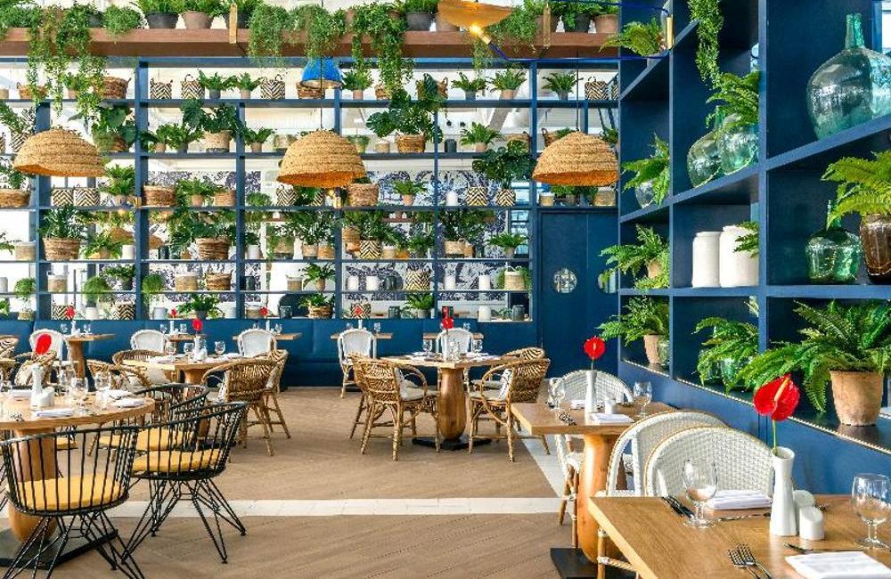  Mexico- 5* Ocean Riviera Paradise 