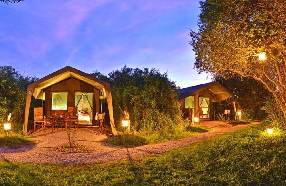  South Africa- Shamwari Private Game Reserve 
