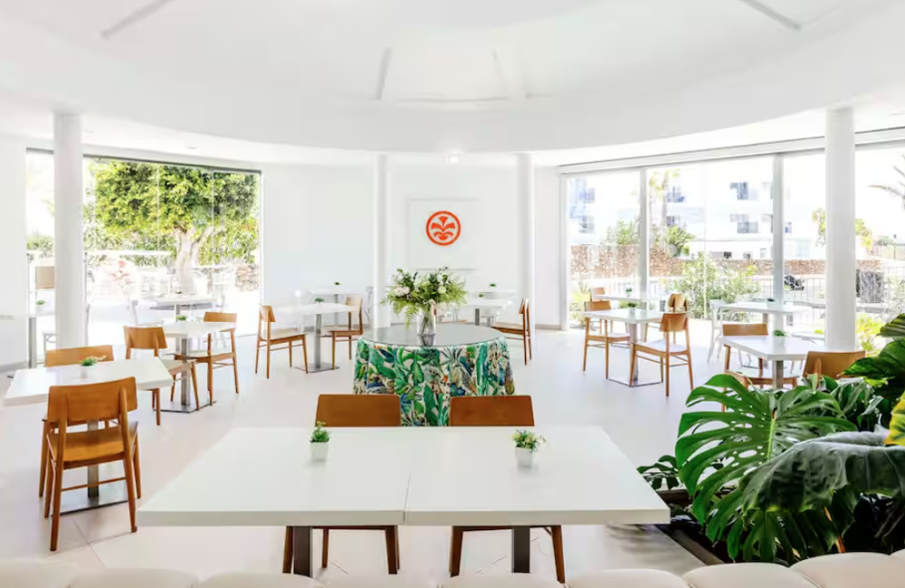  Lanzarote NYE Offer- 3* SUNEO Ficus 