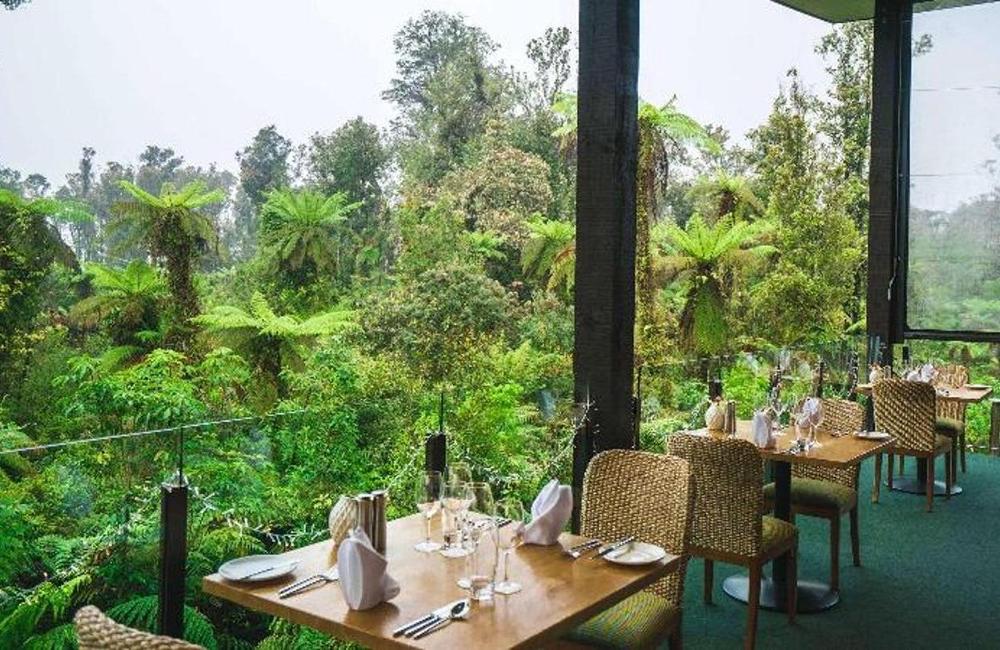  New Zealand- 4* Te Waonui Forest Retreat 