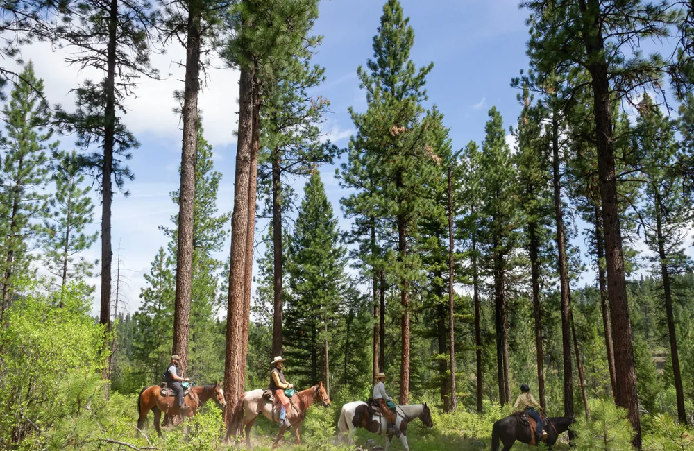 Montana, USA- 5* Triple Creek Ranch Montana, USA- 5* Triple Creek Ranch
