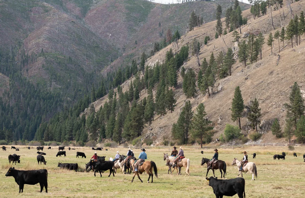  Montana, USA- 5* Triple Creek Ranch 