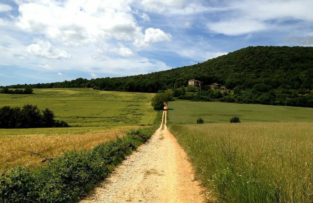 Via Francigena Camino: San Miniato to Siena