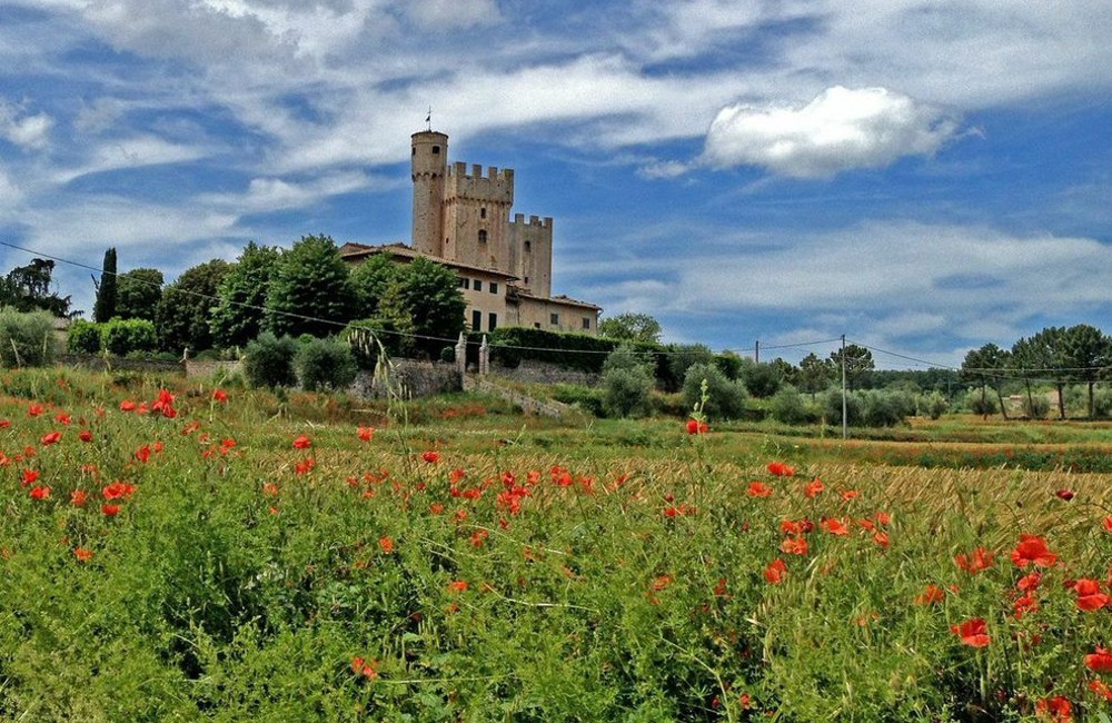 Via Francigena Camino: San Miniato to Siena 