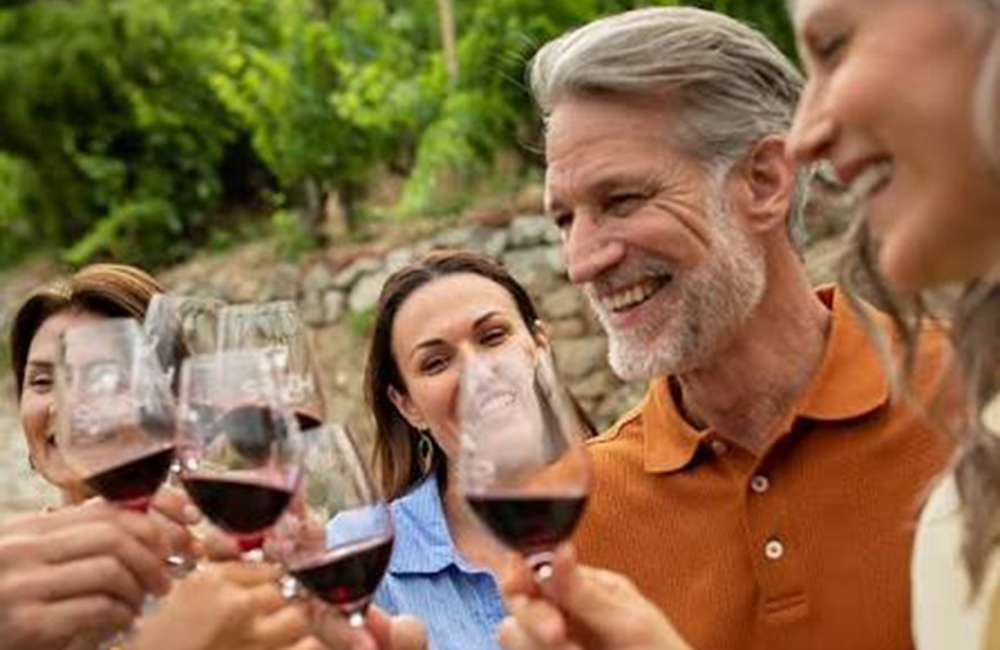 Romantic Rhine River Cruise for Wine Lovers (Flights Included)