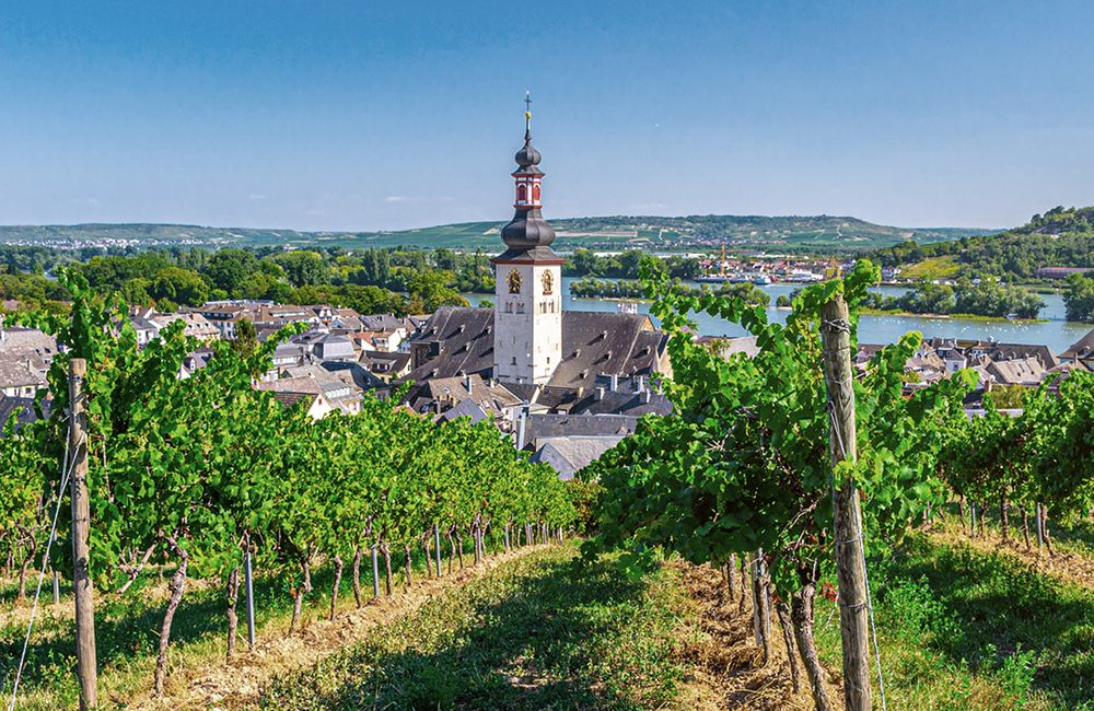  Romantic Rhine River Cruise for Wine Lovers (Flights Included) 
