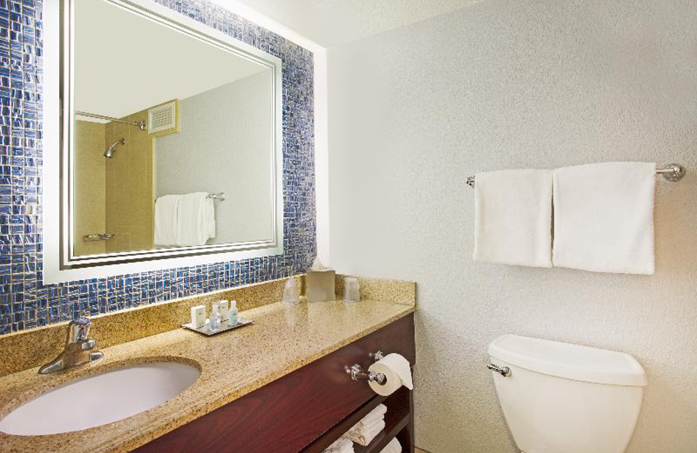  Disney Orlando- 4* Wyndham Lake Buena Vista 